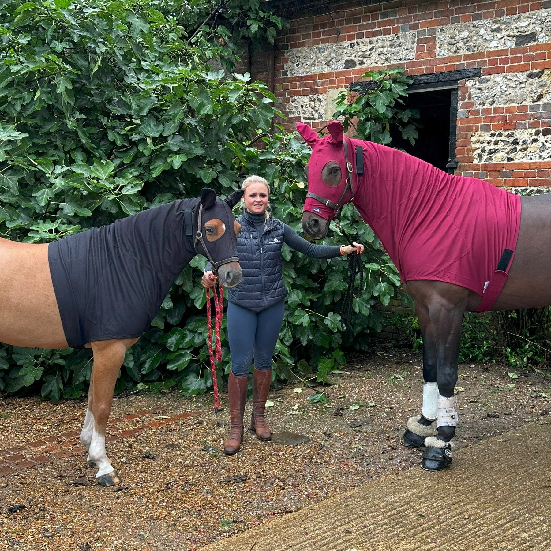 Halloween Sale 2025 Getaggt "prevent horse mane rubbing" Snuggy