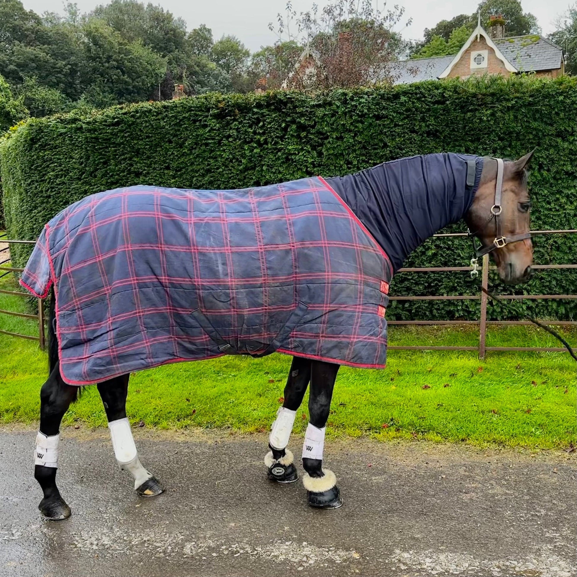 Snuggy Hoods Turnout Body Rug 6'9 Snuggy Hoods Turnout Body Rug 6'9
