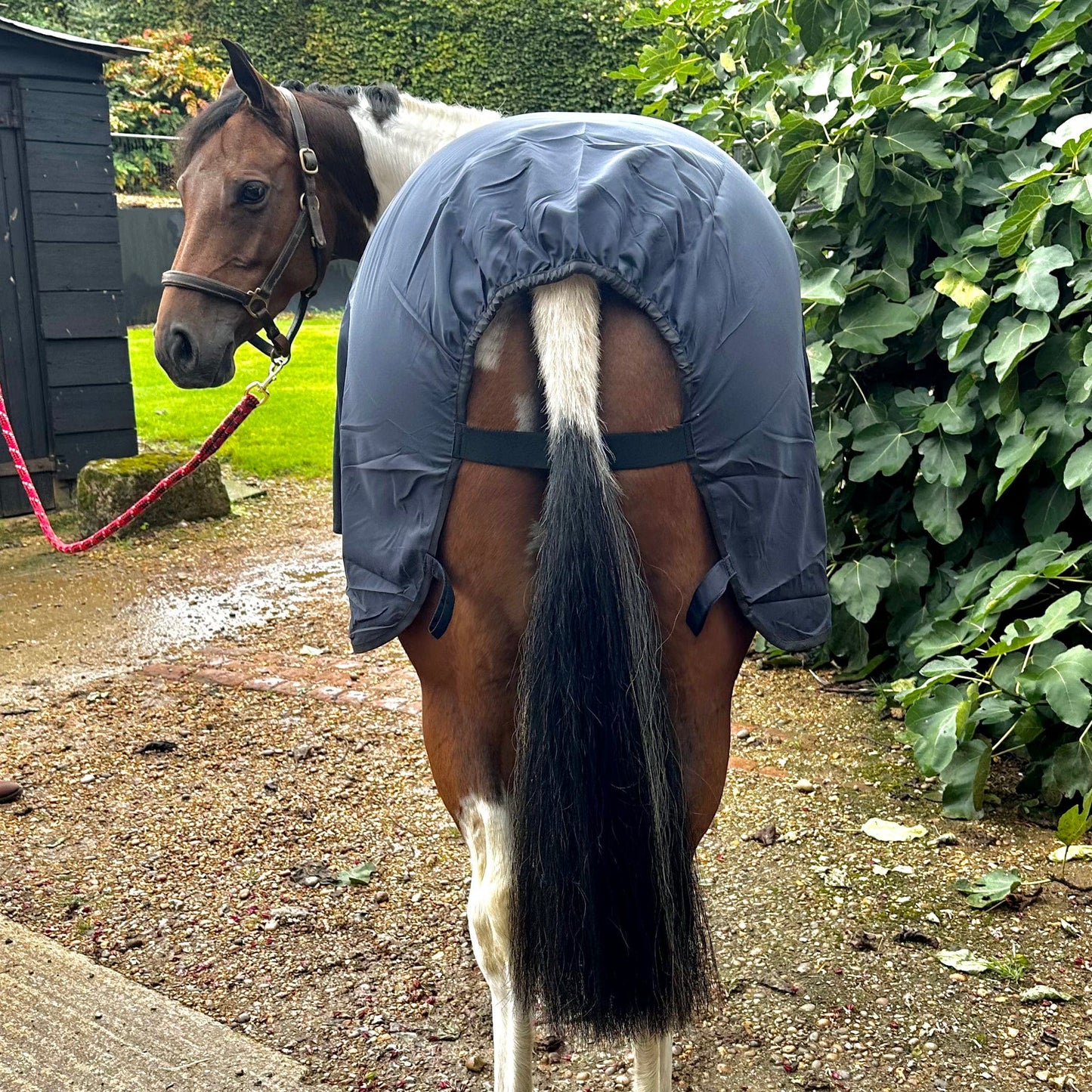 Lightweight Rug Liner