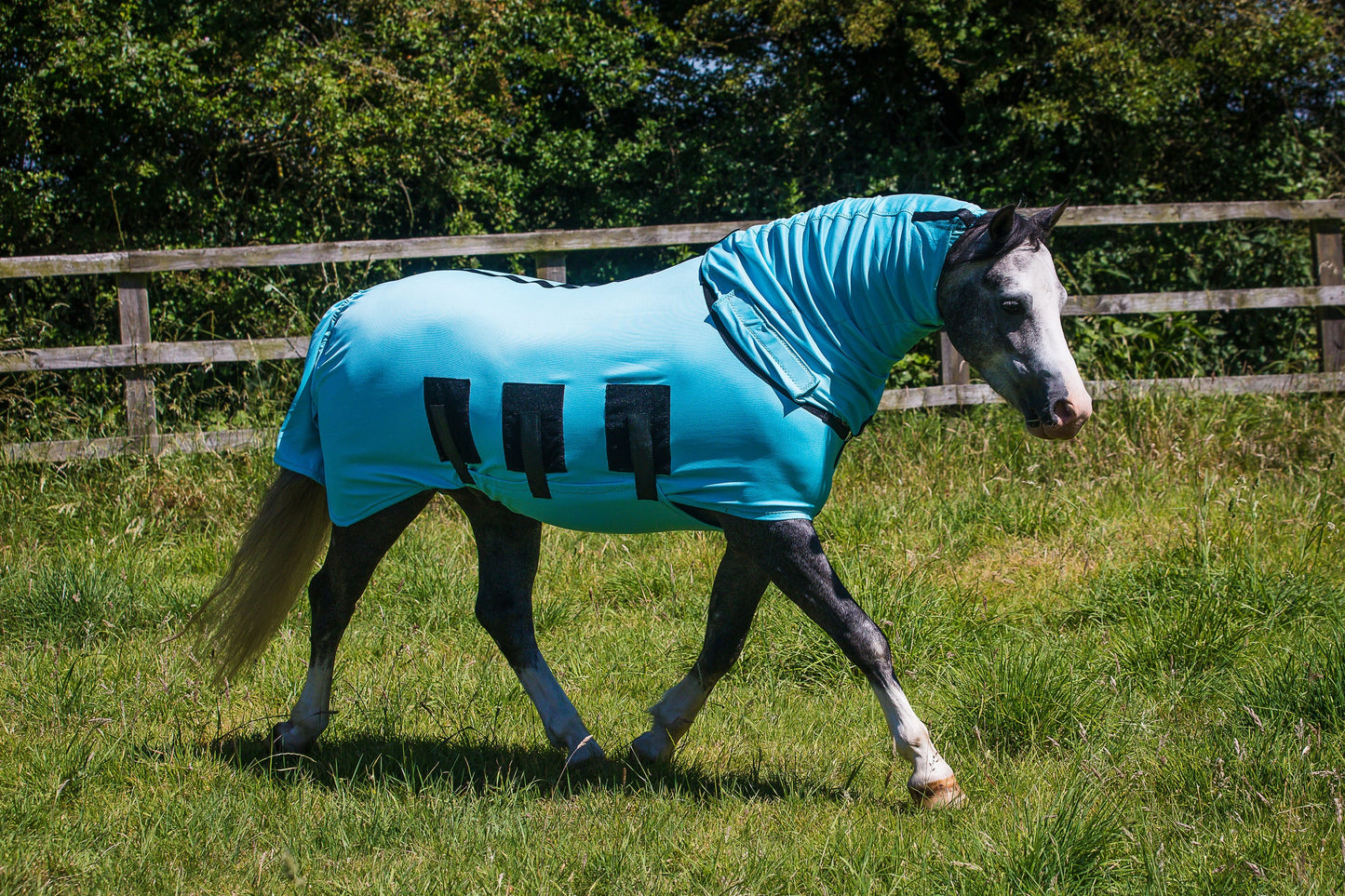 Bug Body Fly Rug