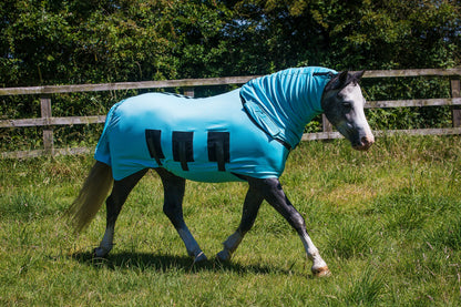 Bug Body Fly Rug