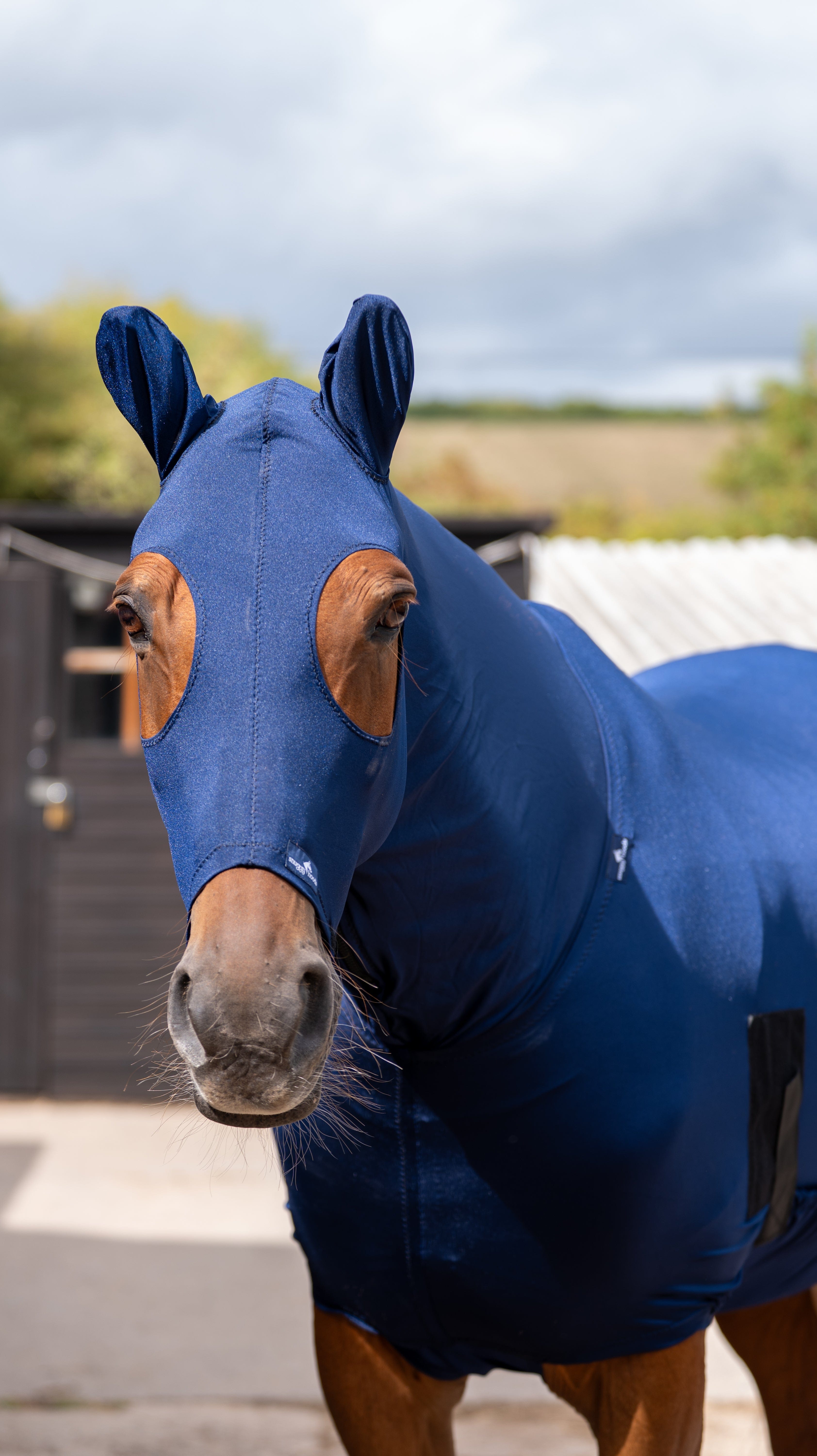 Lycra Paard & Pony Hoed - Snuggy Hoods – Snuggy Hoods Ltd