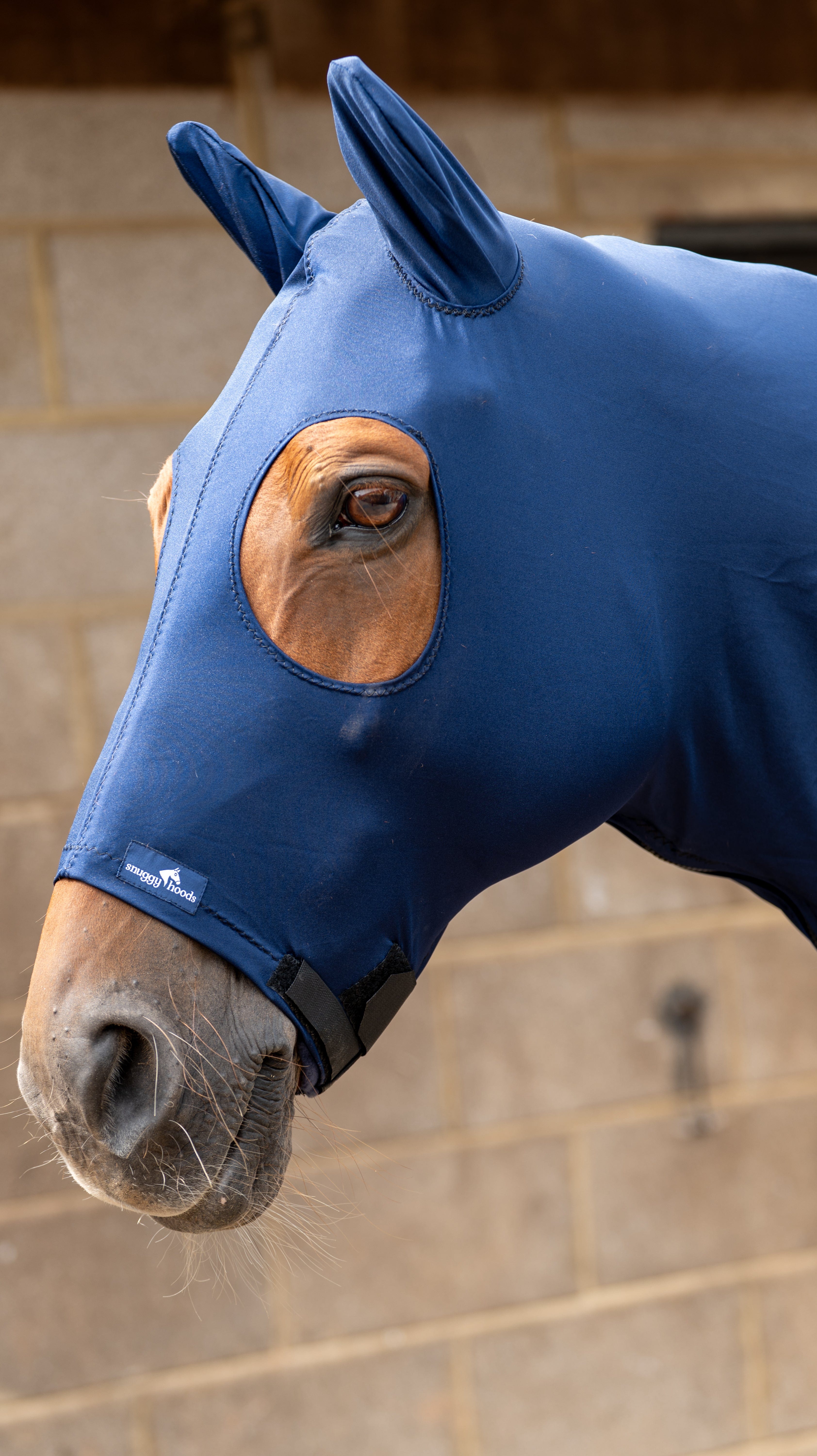 Lycra Paard & Pony Hoed - Snuggy Hoods – Snuggy Hoods Ltd