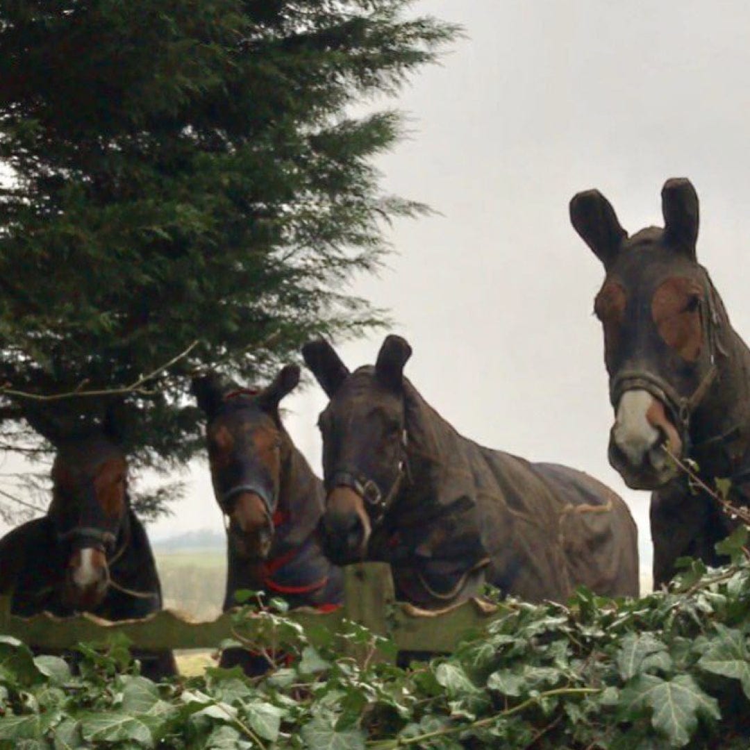 ML Navy Turn Out Hood with Zip - lightly used, small/minor repair to zip and eye. (NO RETURNS)