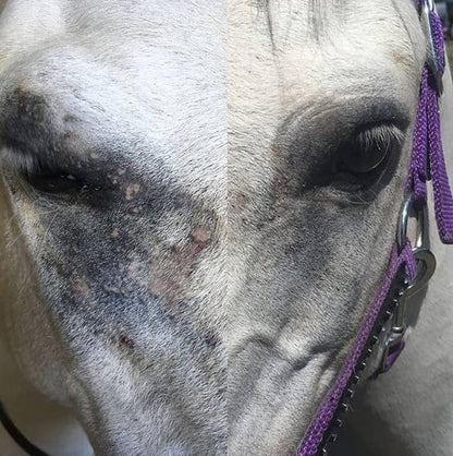 Mascarilla para la picazón dulce