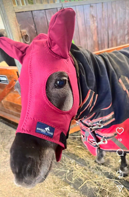 Käännettävä pää