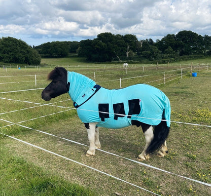 Bug Body Fly Rug