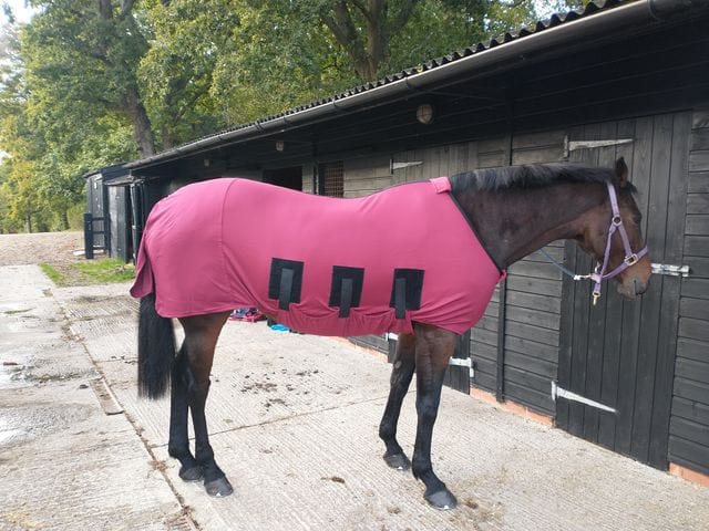 Winter Under Rug - 3'3" - Burgundy - tried on.