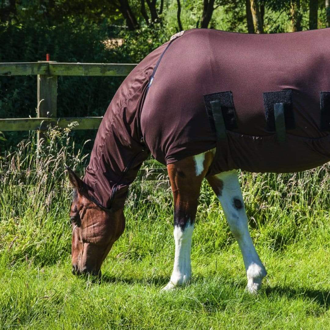 Headless Sweet Itch Horse Hood - Protects from Midges & biting insects - Snuggy Hoods