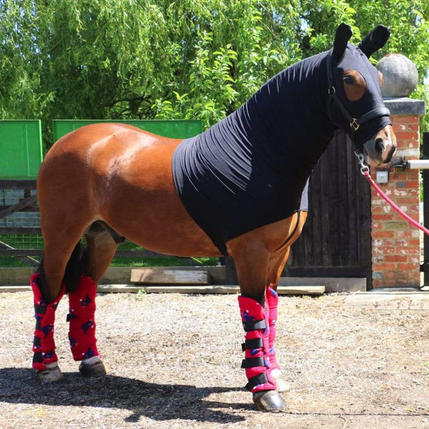 Lycra Horse Hood with Ears - Shine the coat, tame the mane and protect plaits - Snuggy Hoods