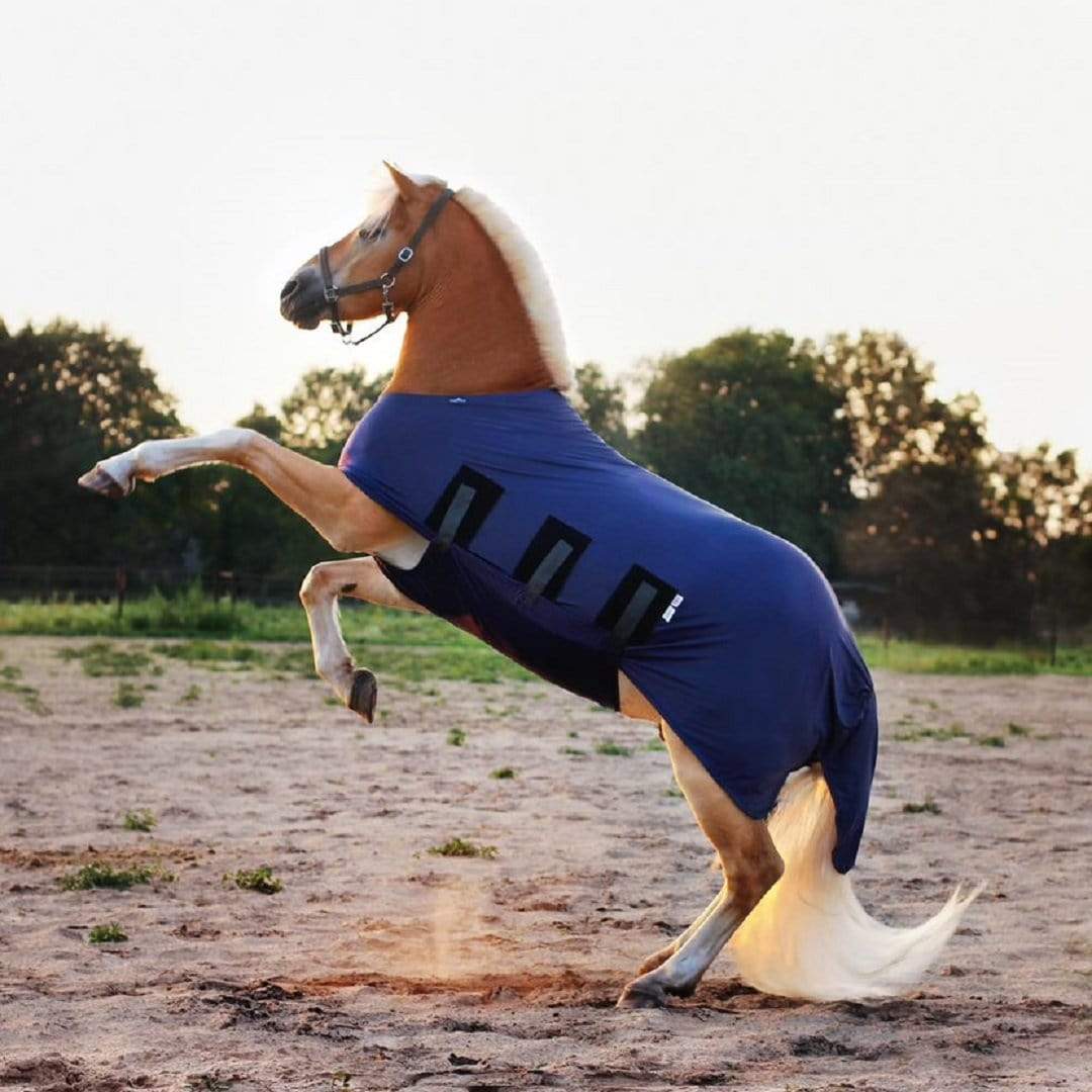 Lycra Body Horse Rug / Coat Shining Rug - Snuggy Hoods – Snuggy Hoods Ltd