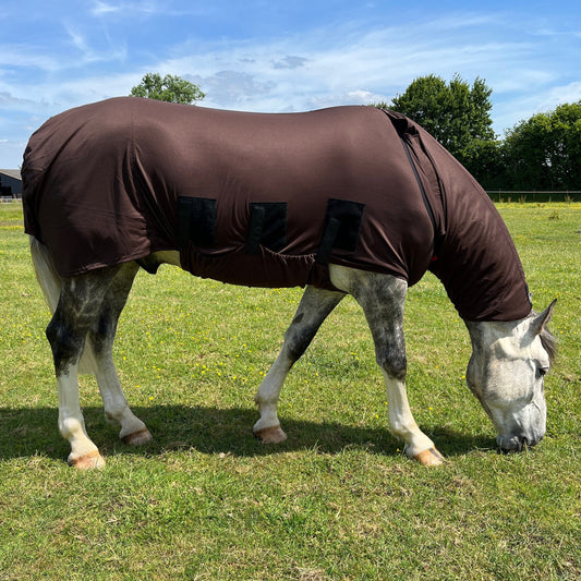Bug Body Fly Rug - 6'3 - Brown - Grubby from being tried on.