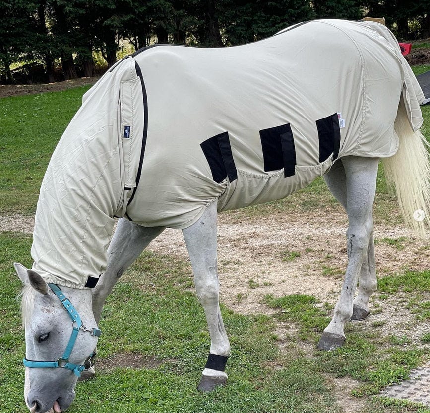 Bug Body Rug (Fliegendecke)