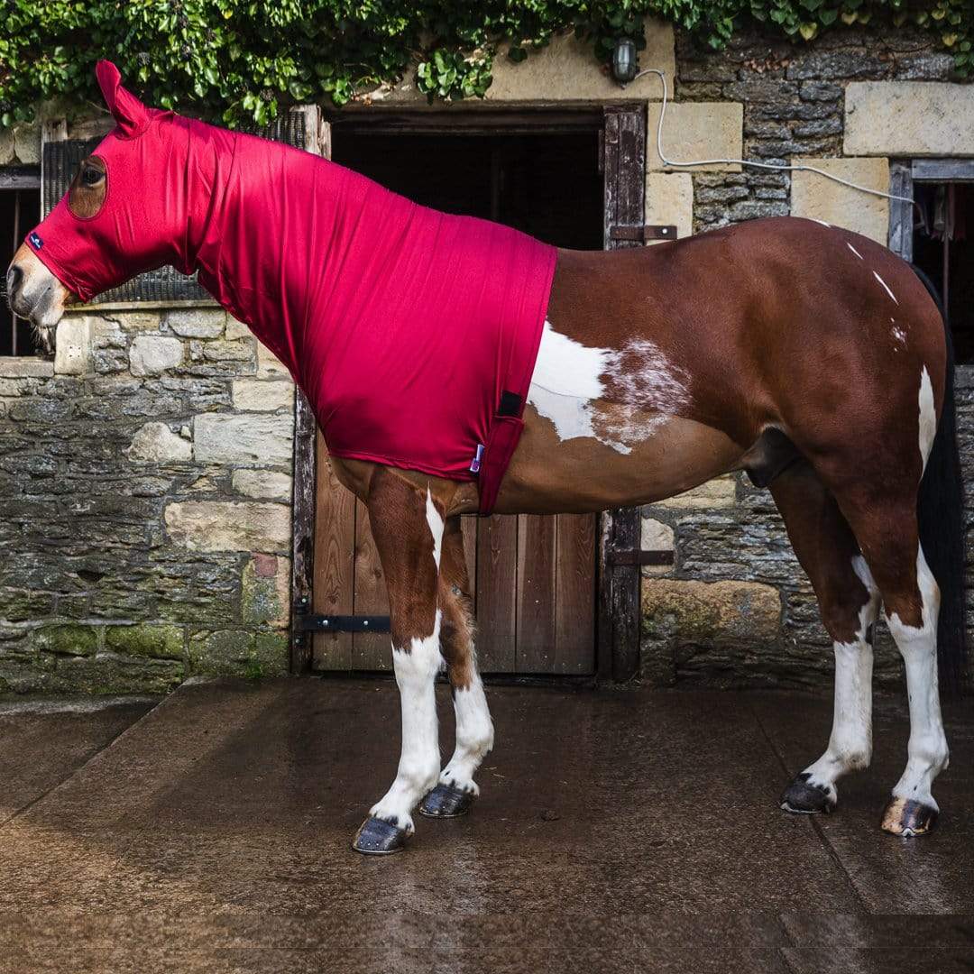 Lycra Horse Hood with Ears - Shine the coat, tame the mane and protect plaits - Snuggy Hoods