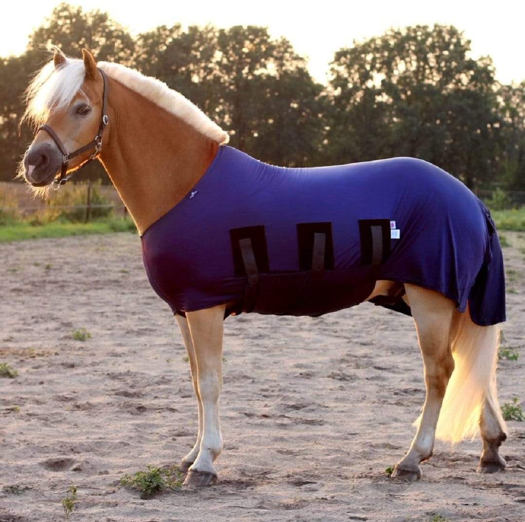 Lycra Body Horse Rug / Coat Shining Rug - Snuggy Hoods – Snuggy Hoods Ltd