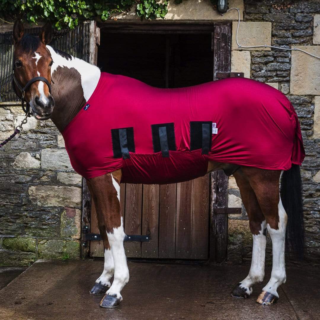 Lycra Body Horse Rug / Coat Shining Rug - Snuggy Hoods – Snuggy Hoods Ltd