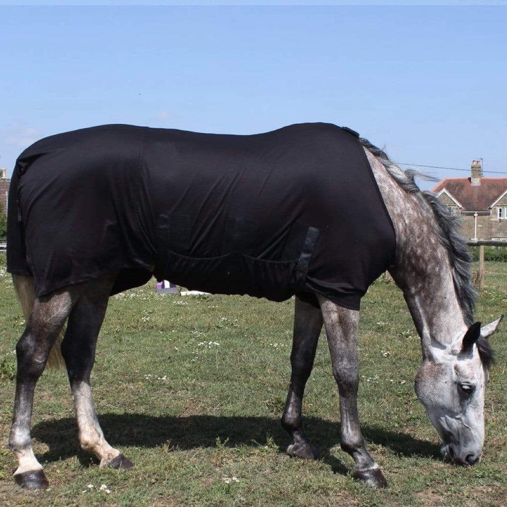 Horse Winter Under Rug with Complete Tummy Coverage - Snuggy Hoods ...